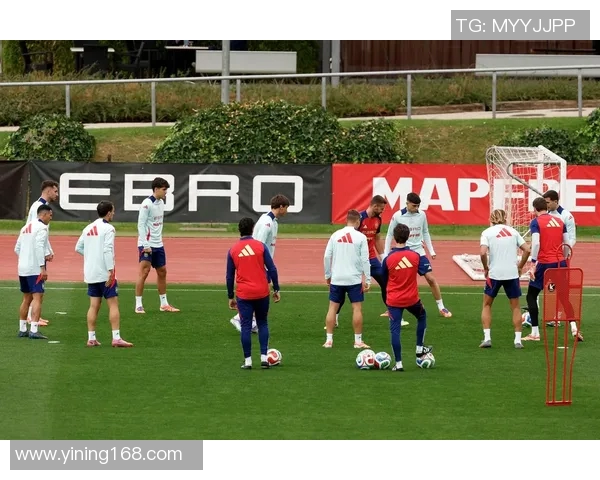 世界杯预选赛分析：西班牙国家队近期状态与表现评估