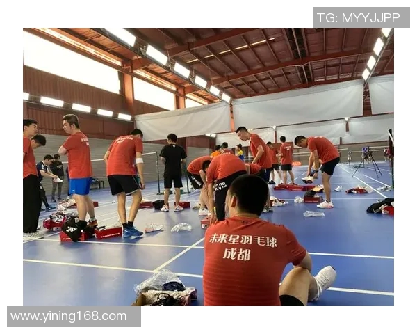 成都羽毛球队控制策略分析与热点解读探讨