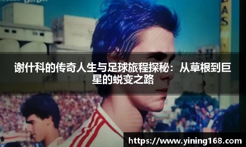 好博体育app下载