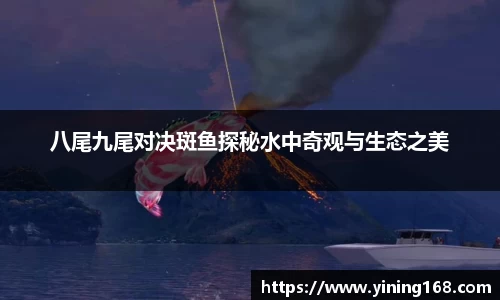 好博体育APP